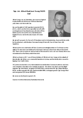 A preview of a PDF biography for Young, Alfred Markham